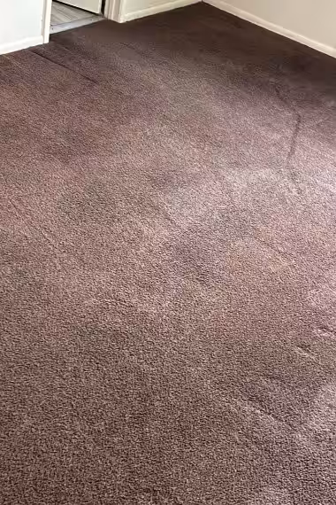 Master Green Carpet Cleaners Master Green Carpet Cleaners